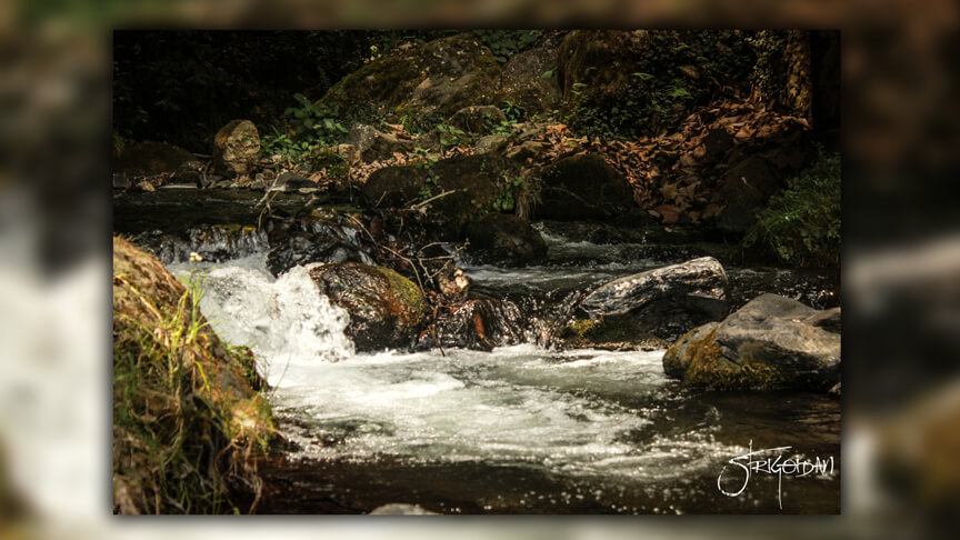 Pasión por la Fotografía Naturaleza Zacatlán 21 - Studio StrigoiDan MX