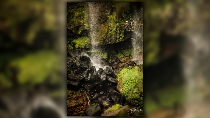 Pasión por la Fotografía Naturaleza Zacatlán 32 - Studio StrigoiDan MX